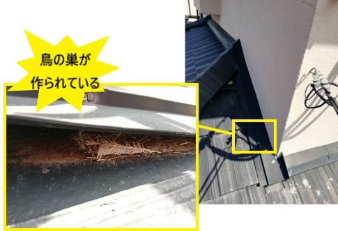 壁際　鳥の巣　雨漏り雨染み